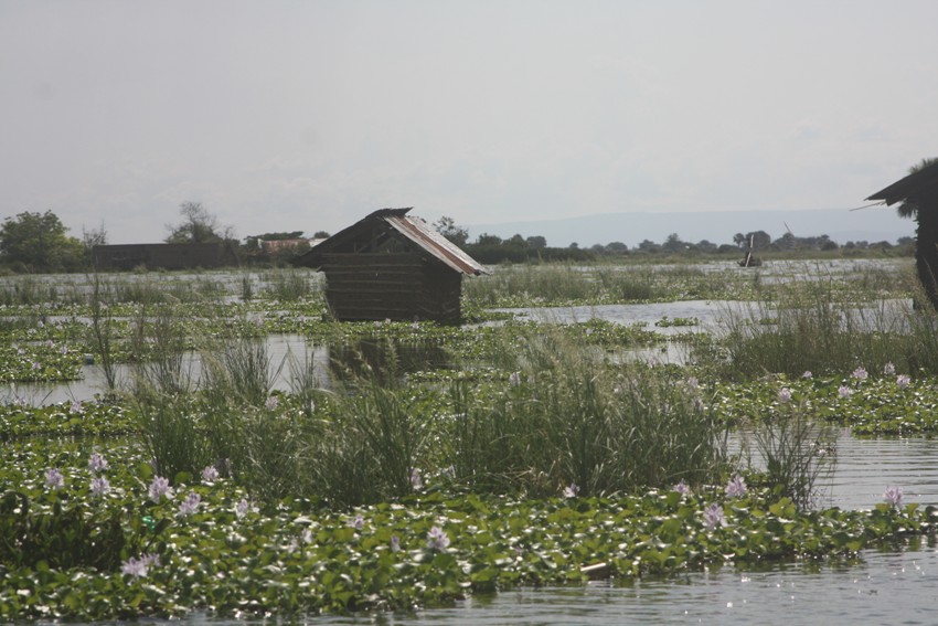 Impact of floods in Ntoroko district October 2020